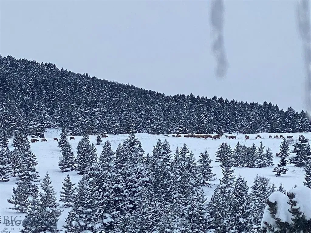86 Pony Lane Livingston MT 59047