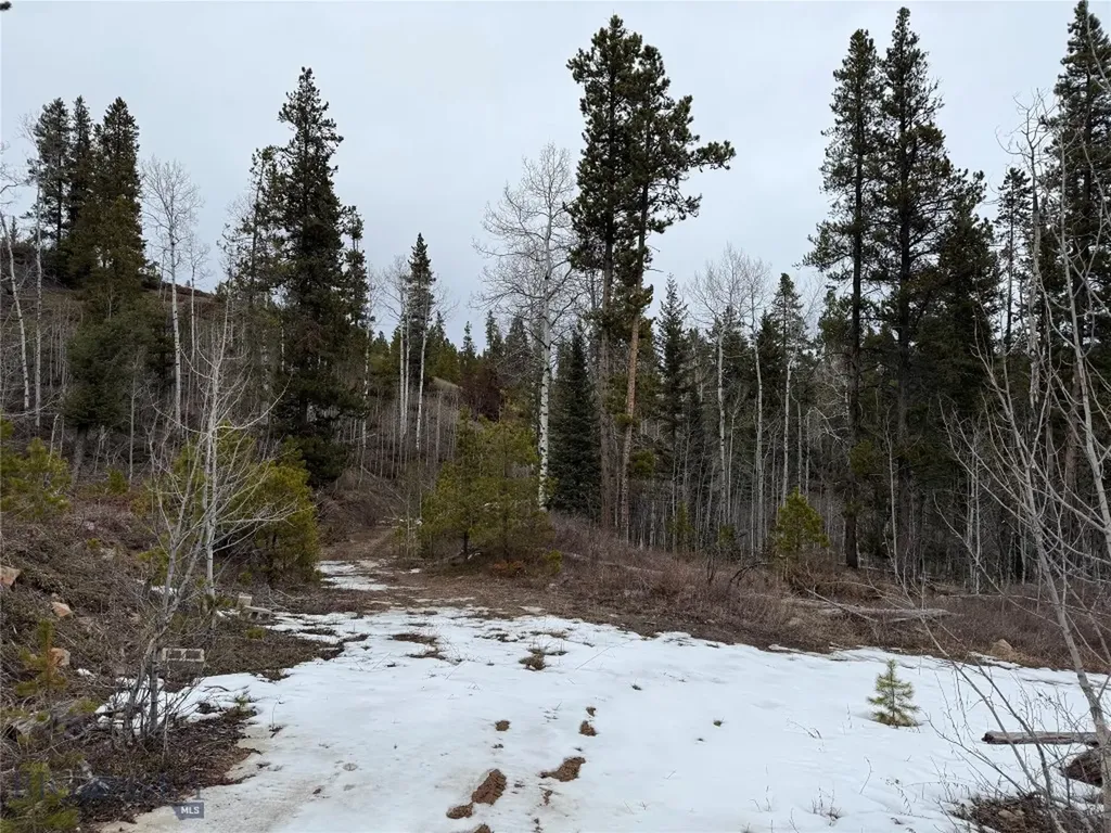 62 Johannesburg Gulch Road Monarch MT 59463