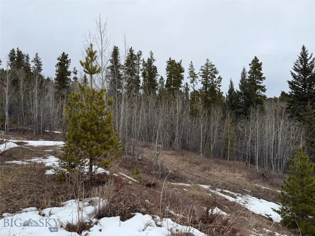 62 Johannesburg Gulch Road Monarch MT 59463
