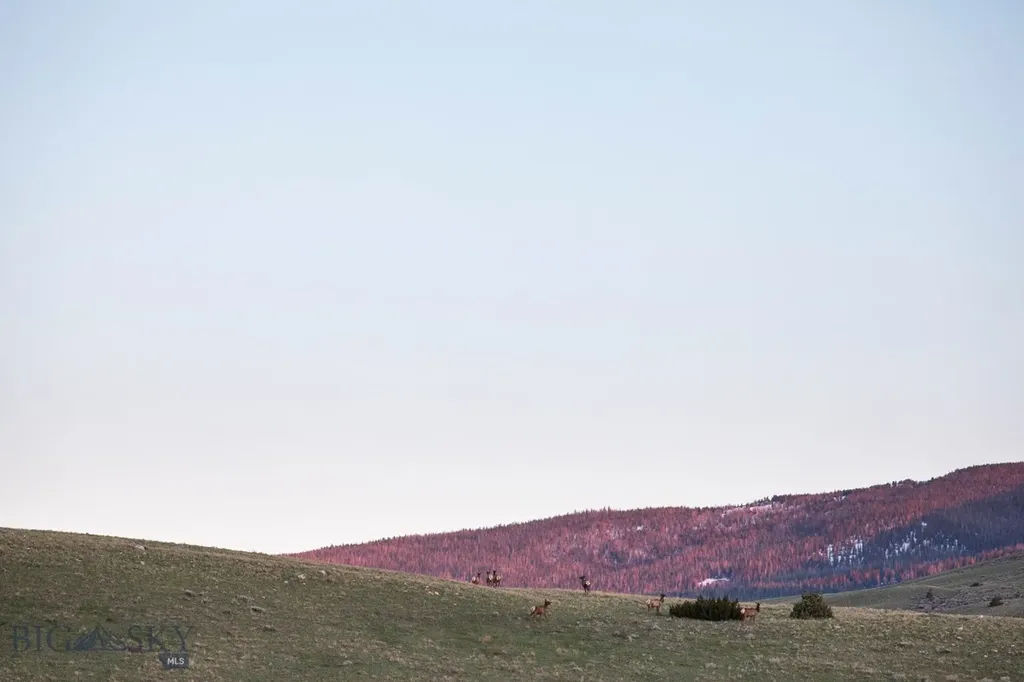 1380 Glacier View Drive Deer Lodge MT 59722