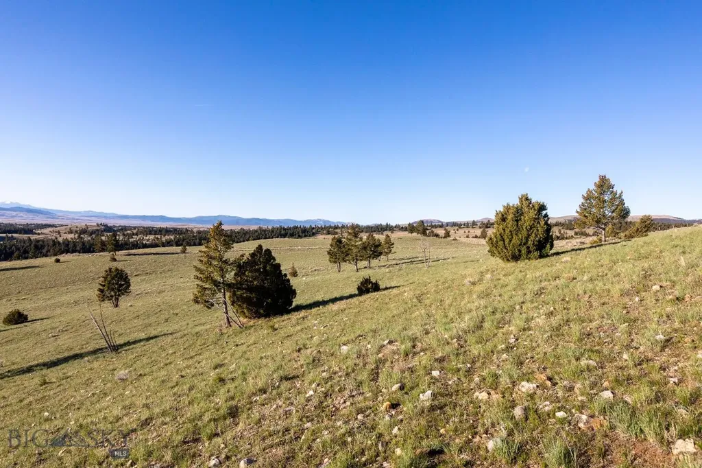 1380 Glacier View Drive Deer Lodge MT 59722