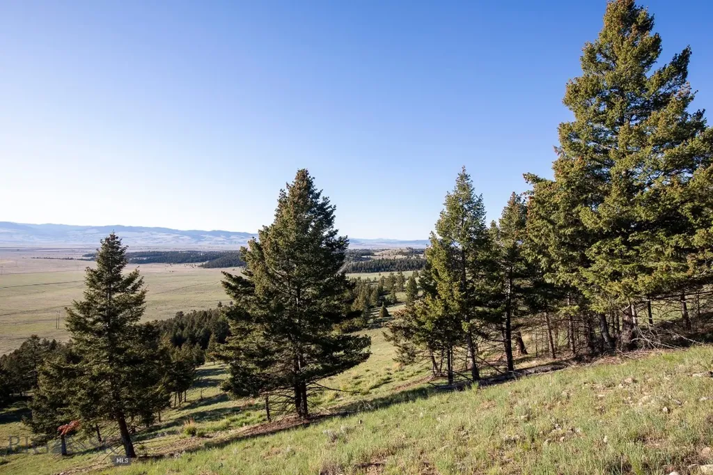 1380 Glacier View Drive Deer Lodge MT 59722