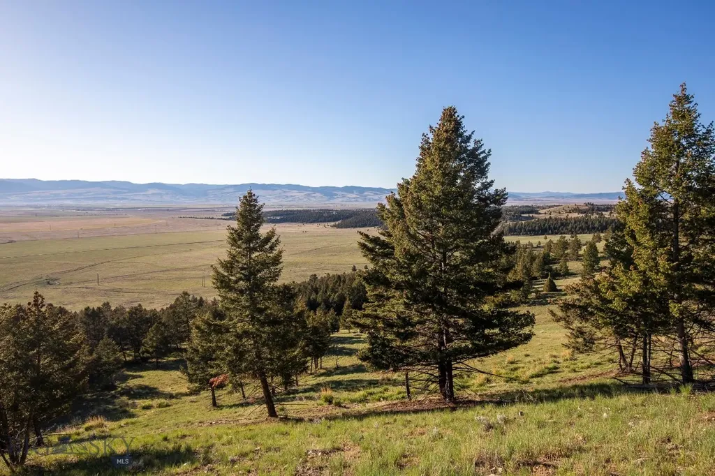 1380 Glacier View Drive Deer Lodge MT 59722