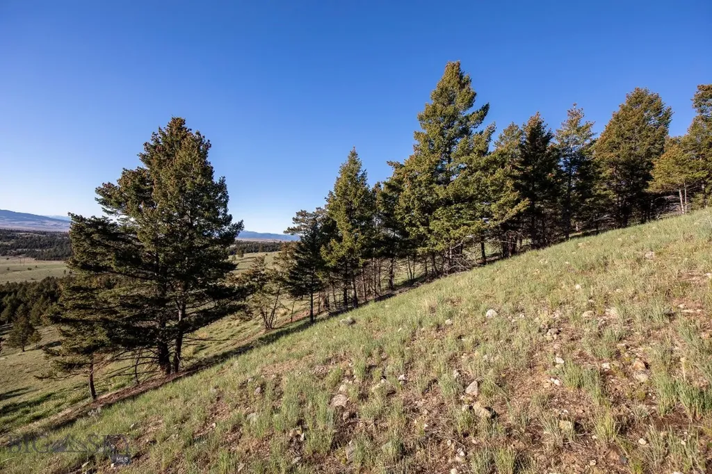 1380 Glacier View Drive Deer Lodge MT 59722