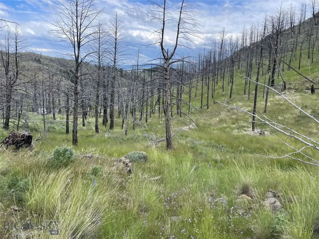 10 Lower Rader Creek Road Whitehall MT 59759