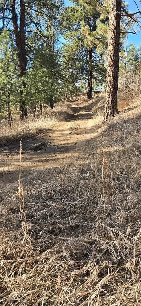 211 Warm Springs Creek Road Clancy MT 59634