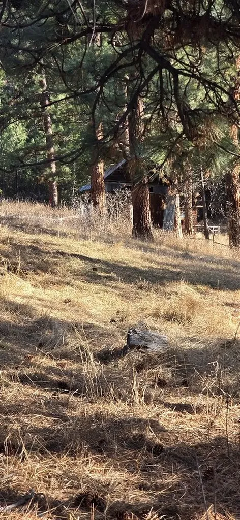 211 Warm Springs Creek Road Clancy MT 59634