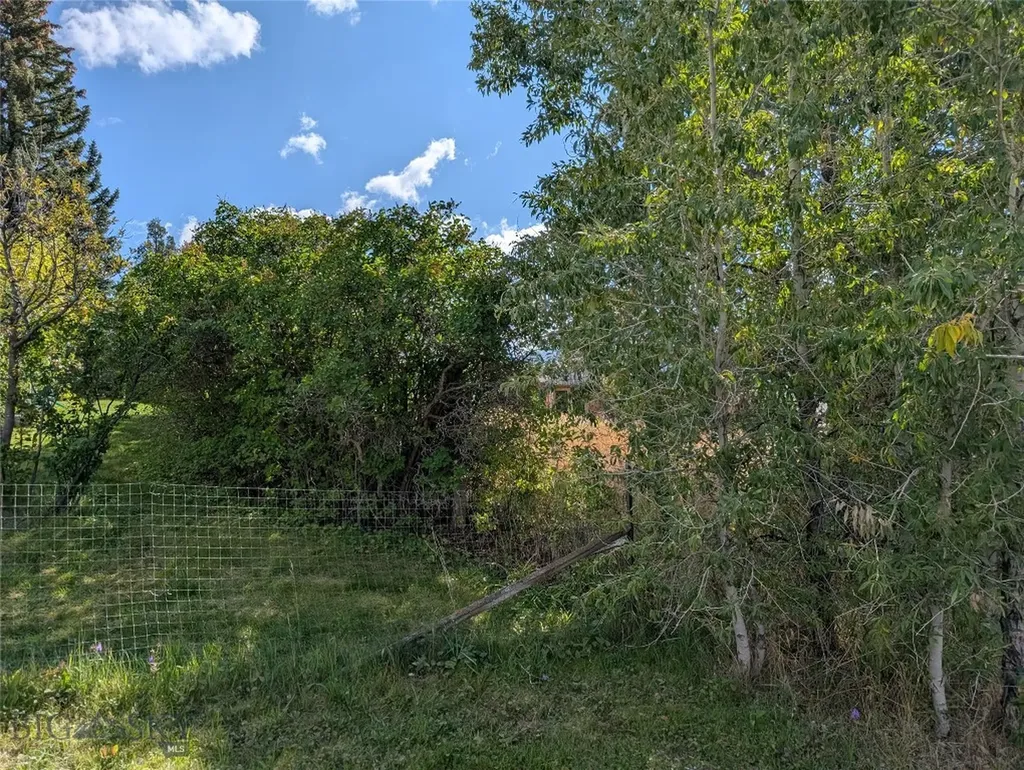 Tbd E Warren Street Virginia City MT 59755