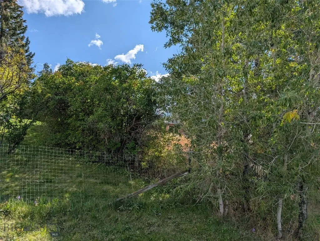 Tbd E Warren Street Virginia City MT 59755