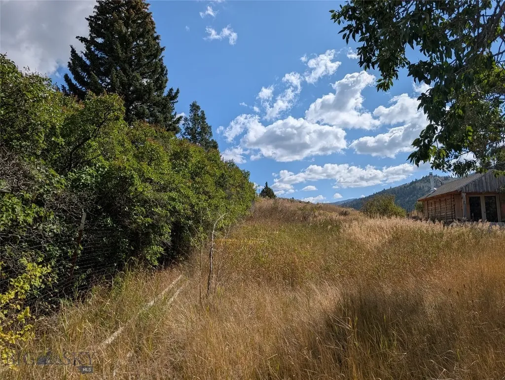 Tbd E Warren Street Virginia City MT 59755