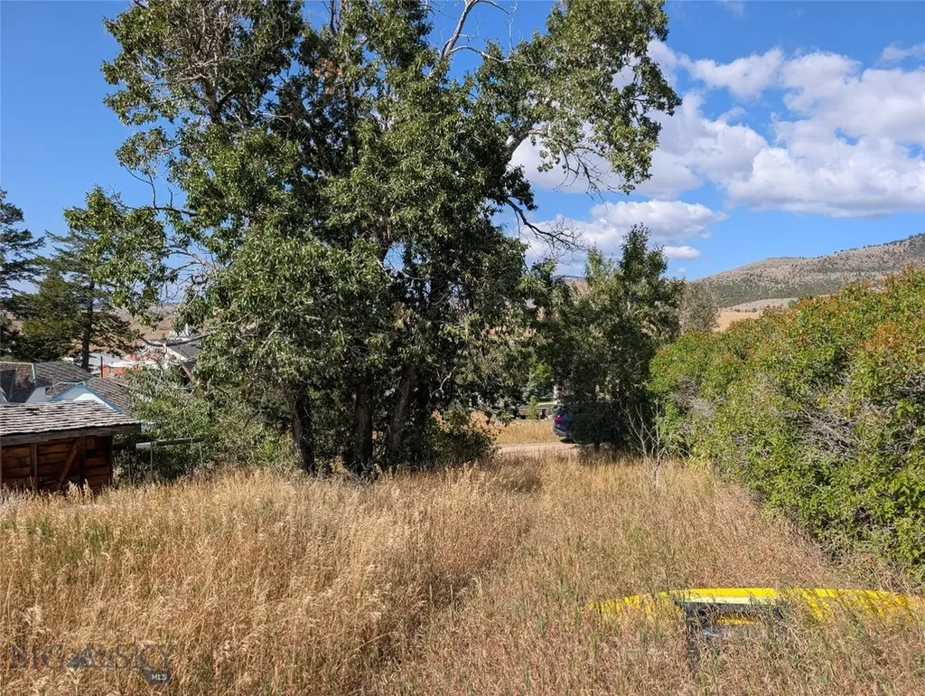 Tbd E Warren Street Virginia City MT 59755