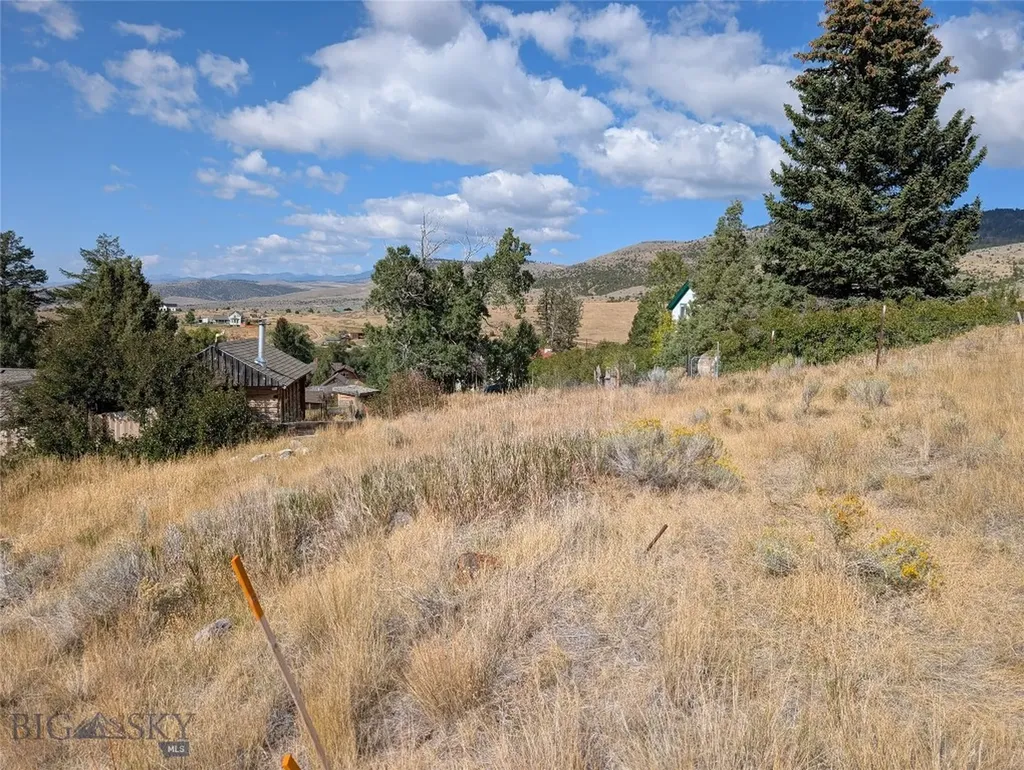 Tbd E Warren Street Virginia City MT 59755