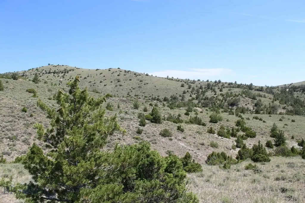Tbd Silver Light Lode & Champion Lode Radersburg MT 59641