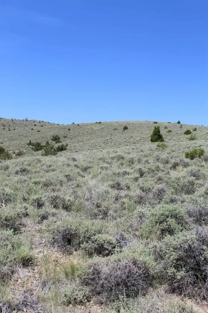 Tbd Silver Light Lode & Champion Lode Radersburg MT 59641