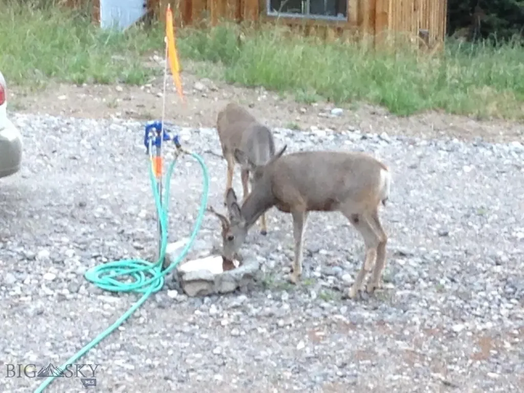 189 Quinn Creek Road Bozeman MT 59715