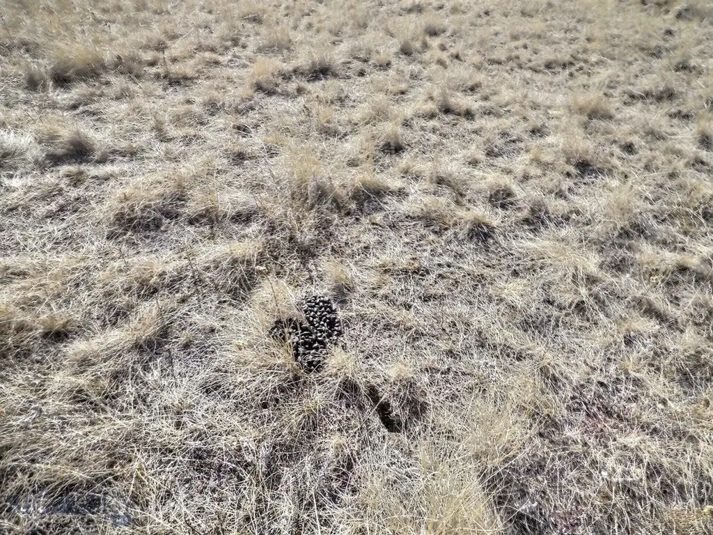 83 Nursery Creek Boulder MT 59632