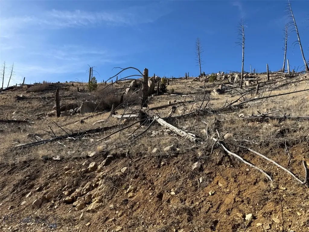 83 Nursery Creek Boulder MT 59632