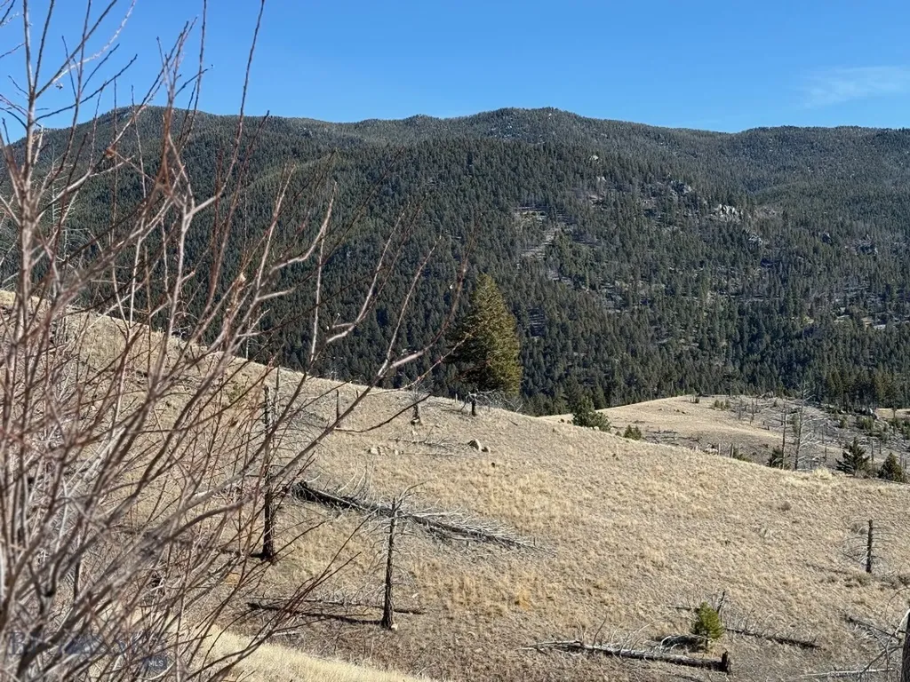 83 Nursery Creek Boulder MT 59632