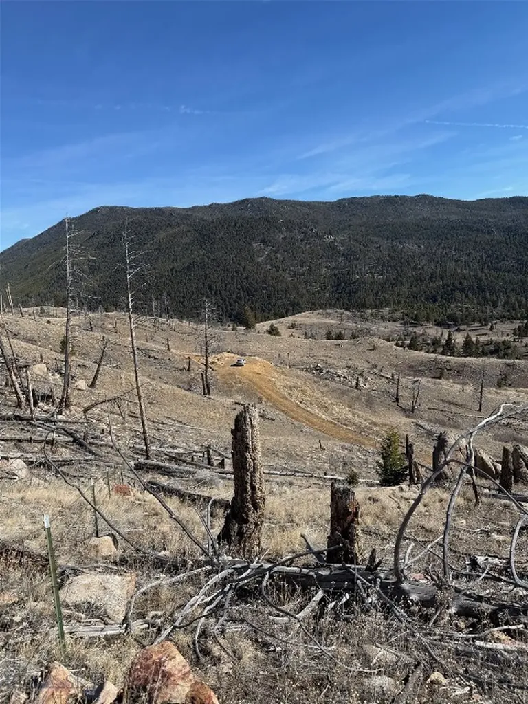 83 Nursery Creek Boulder MT 59632
