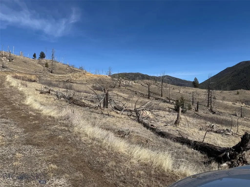 83 Nursery Creek Boulder MT 59632
