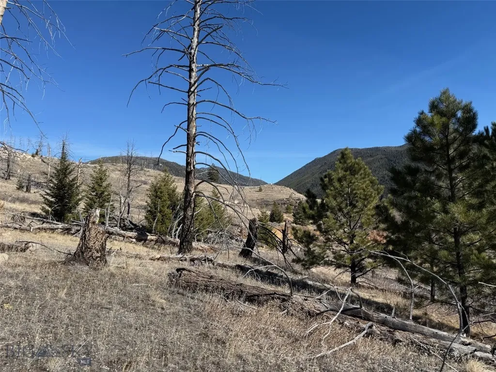 83 Nursery Creek Boulder MT 59632