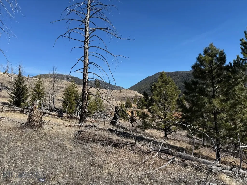 83 Nursery Creek Boulder MT 59632