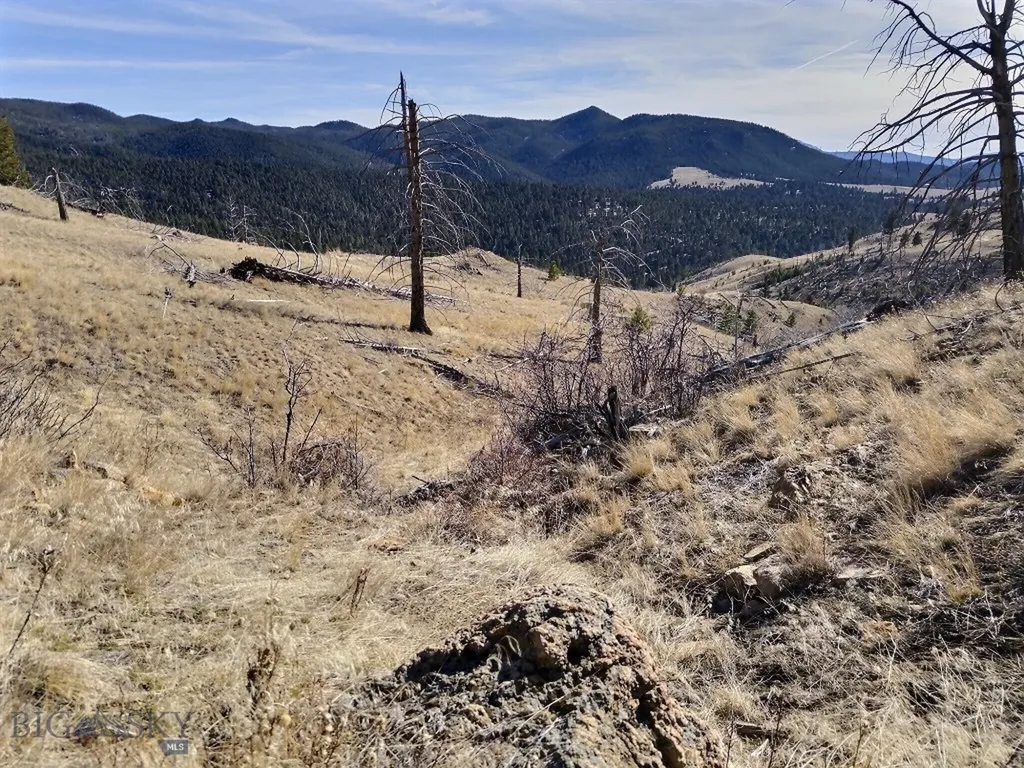 83 Nursery Creek Boulder MT 59632