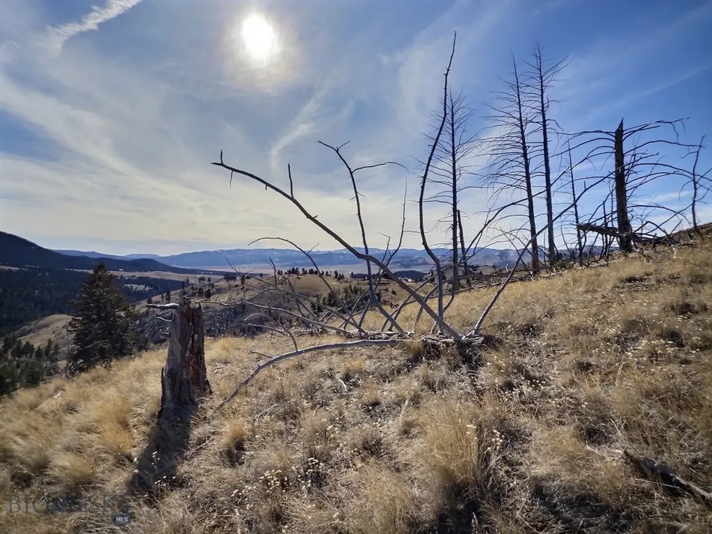 83 Nursery Creek Boulder MT 59632