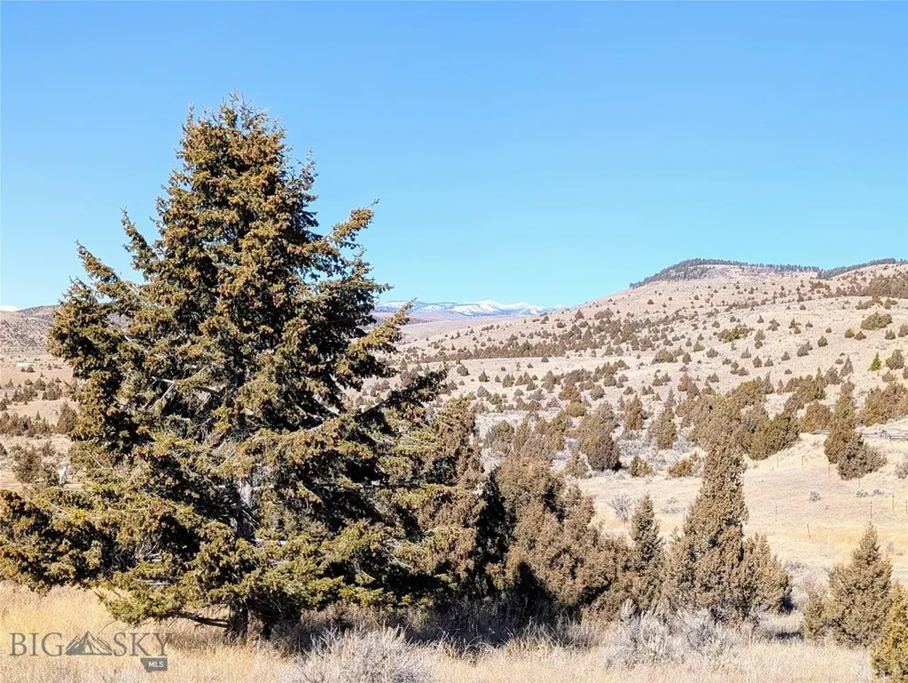 Tbd E Madison Street Virginia City MT 59755