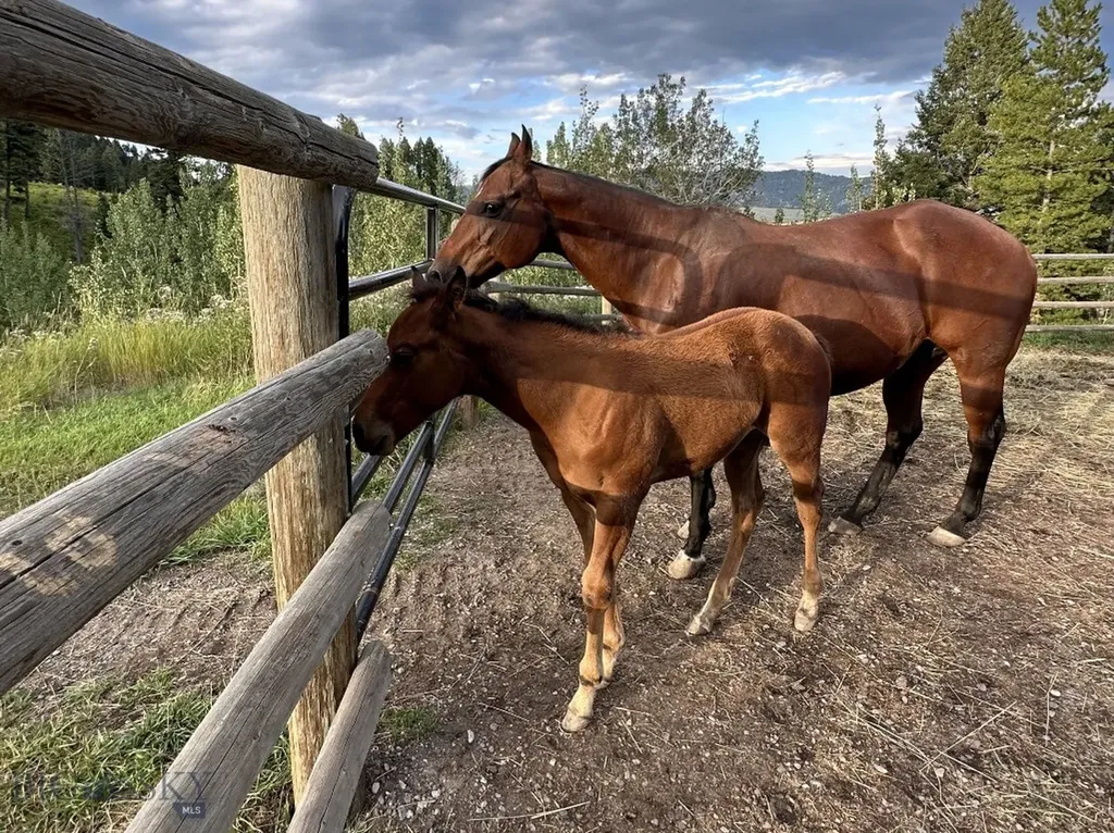 1221 Green Valley Way Bozeman MT 59715