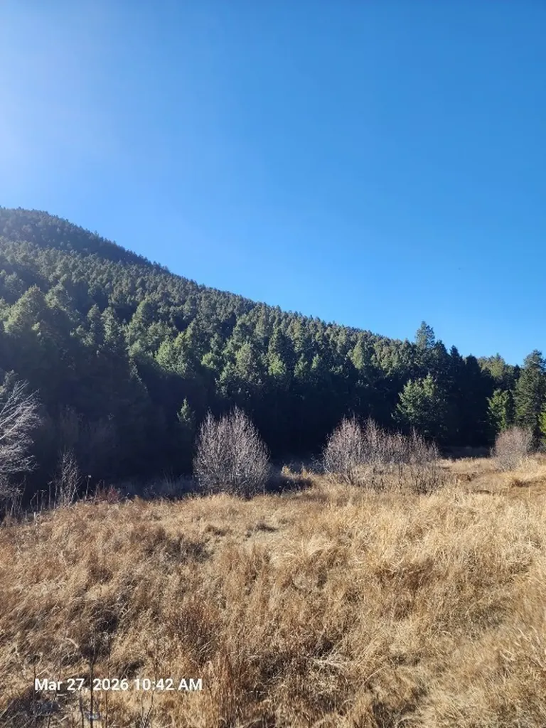 900 Flint Creek Road Butte MT 59748