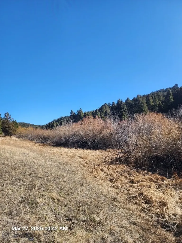 900 Flint Creek Road Butte MT 59748