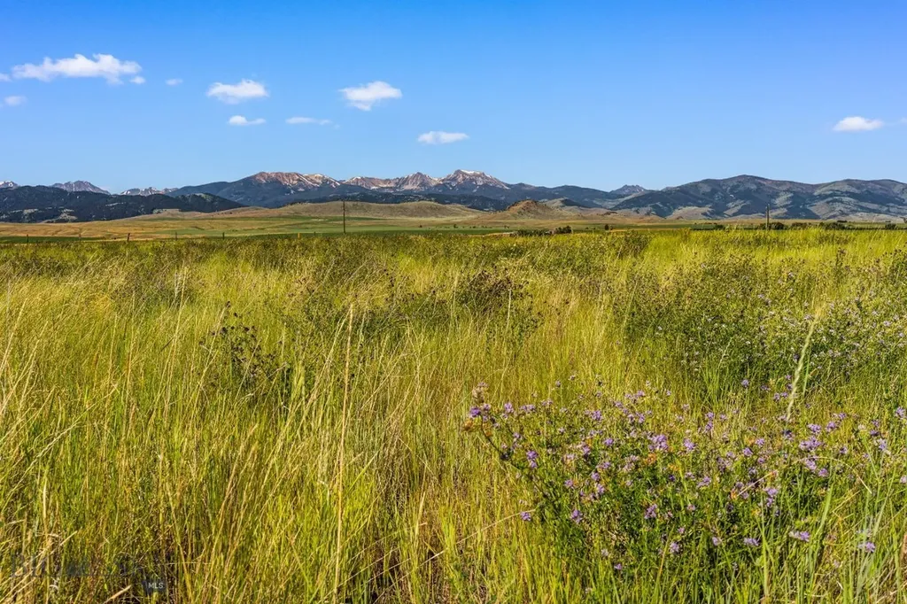 120 Horseshoe Loop Harrison MT 59735