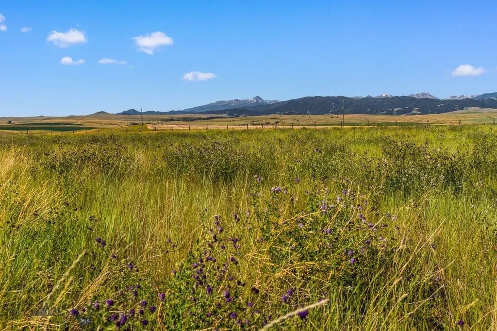 120 Horseshoe Loop Harrison MT 59735