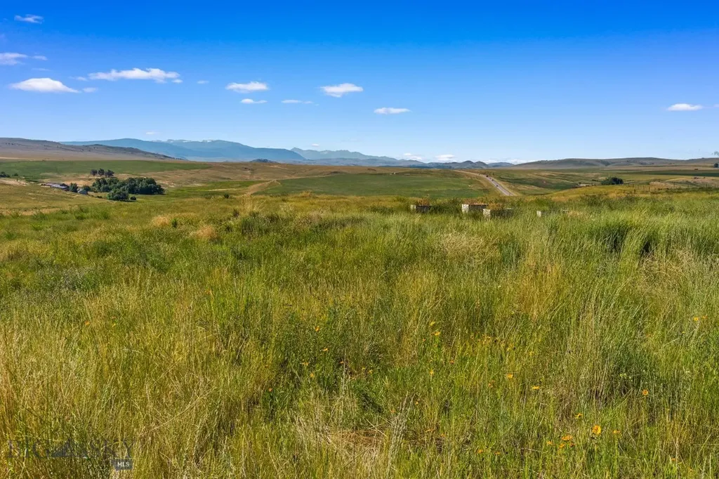 120 Horseshoe Loop Harrison MT 59735
