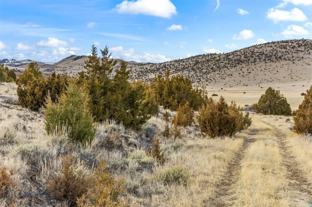 7 Cold Creek Loop Trail Ennis MT 59729