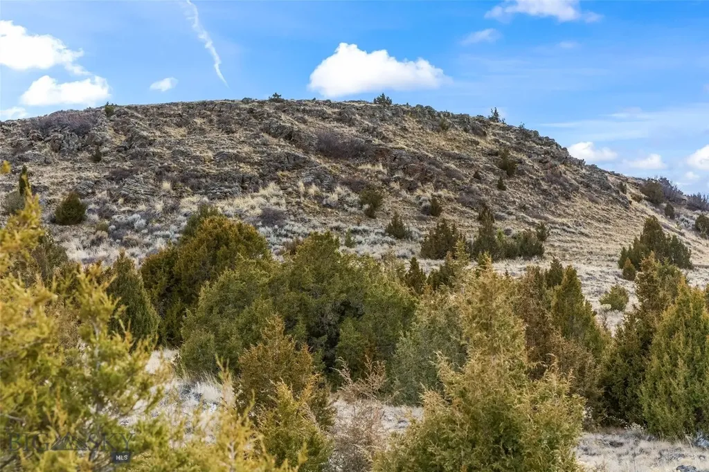 7 Cold Creek Loop Trail Ennis MT 59729