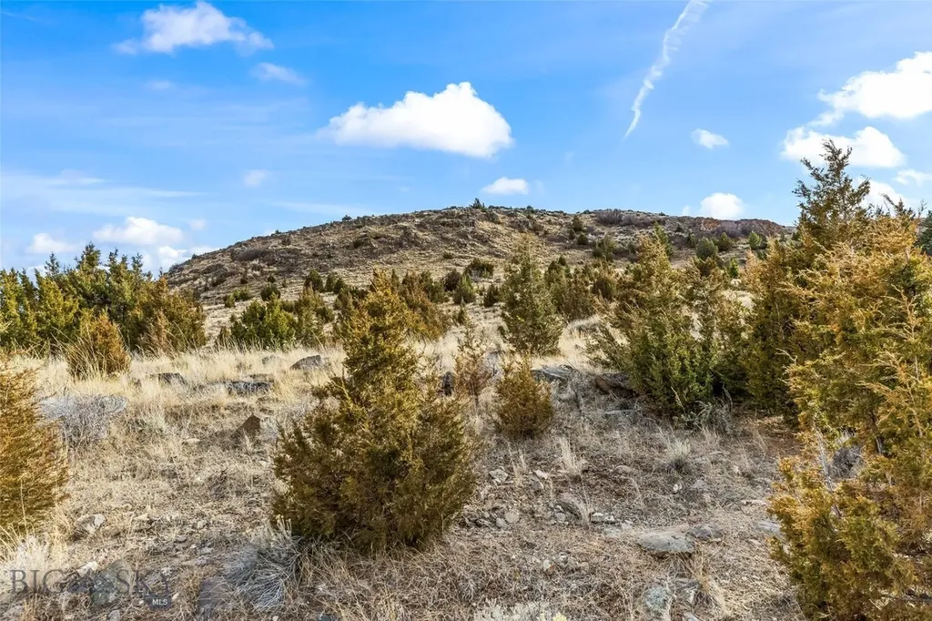 7 Cold Creek Loop Trail Ennis MT 59729