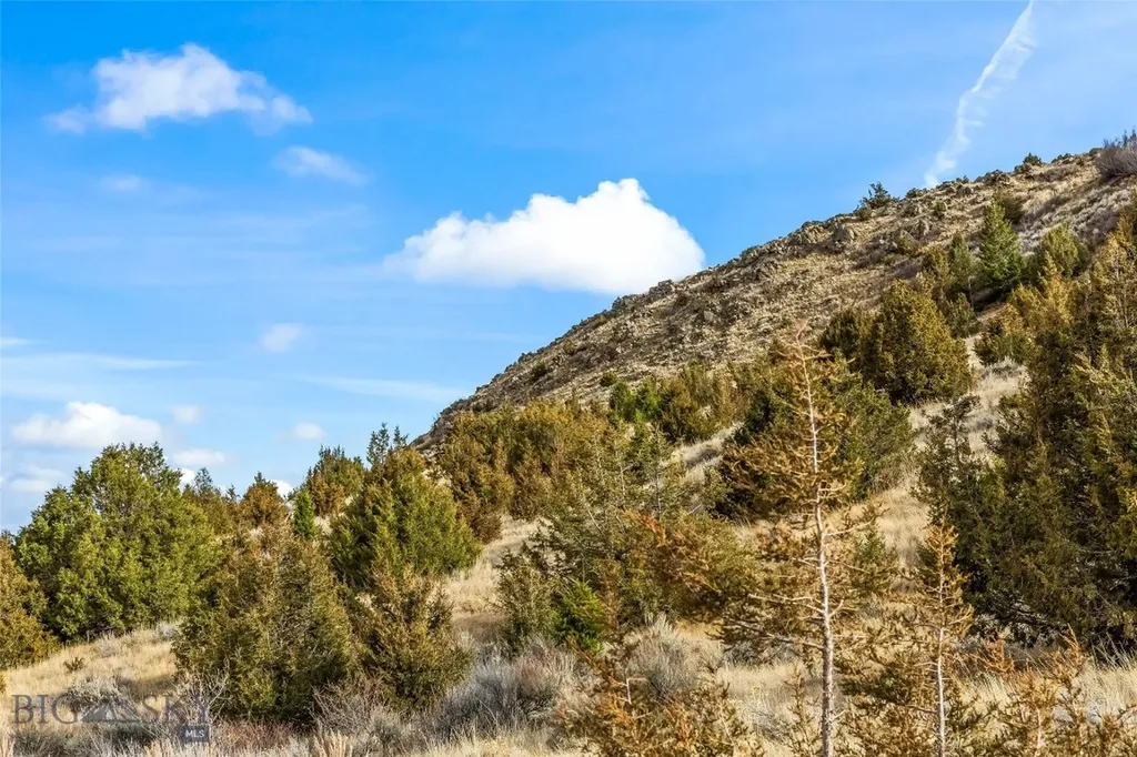 7 Cold Creek Loop Trail Ennis MT 59729