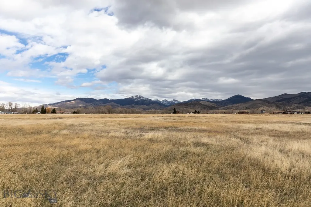 Lot 19 Colettes Way Sheridan MT 59749