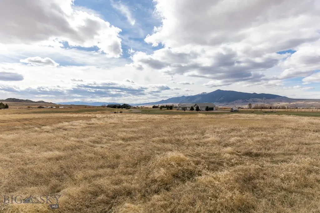 Lot 19 Colettes Way Sheridan MT 59749