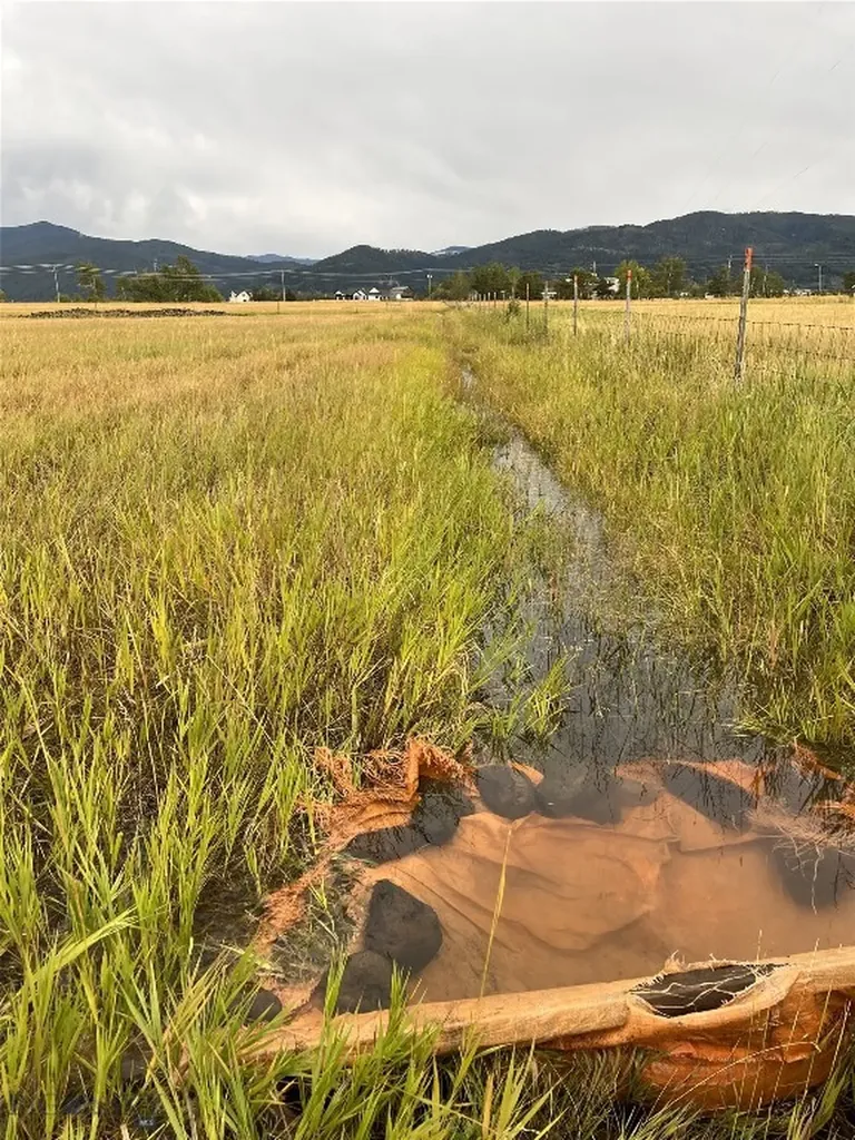 7543 Fowler Lane Bozeman MT 59718