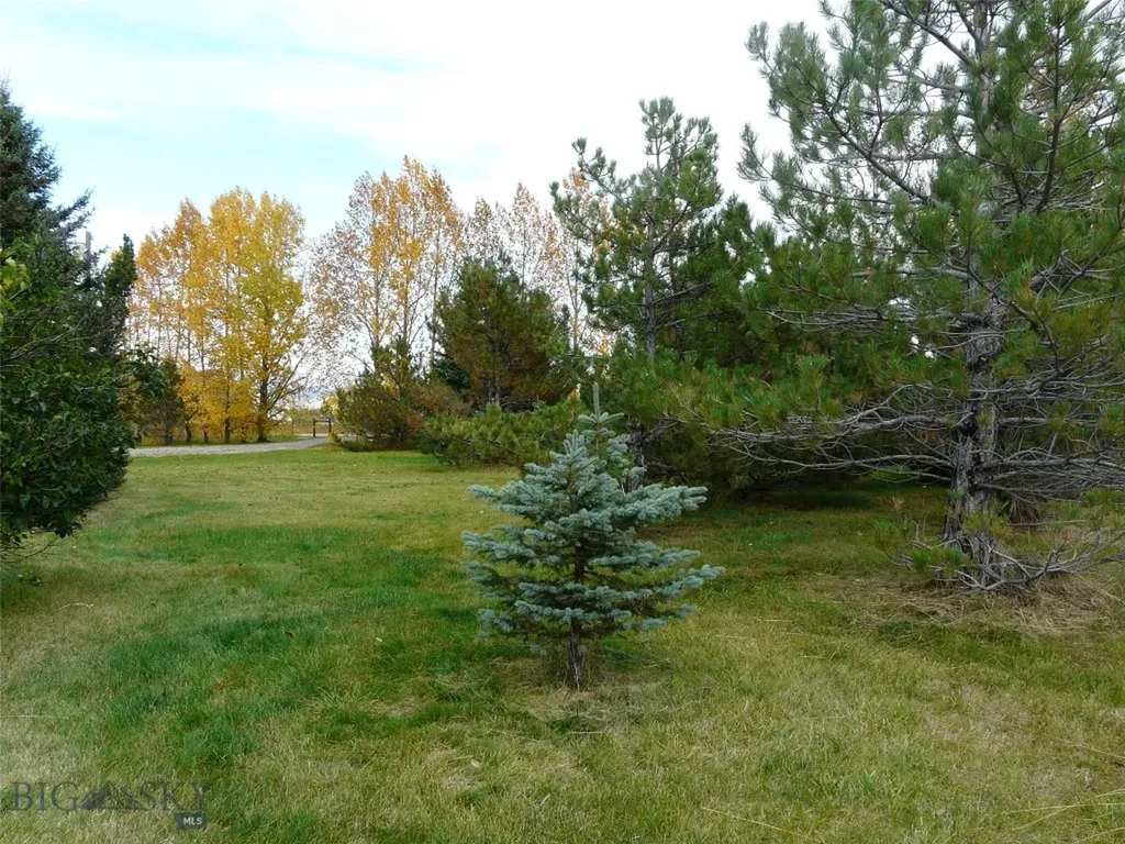 7543 Fowler Lane Bozeman MT 59718