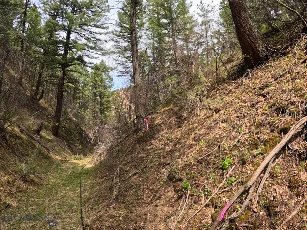 Nhn Pole Gulch Road Three Forks MT 59752