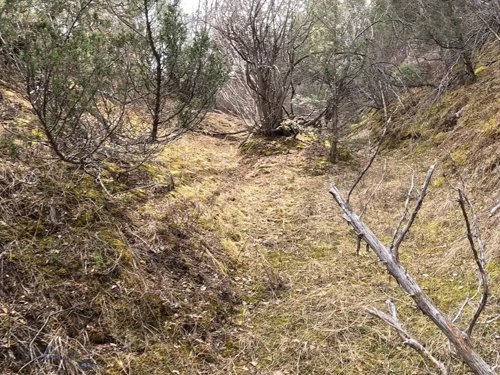 Nhn Pole Gulch Road Three Forks MT 59752