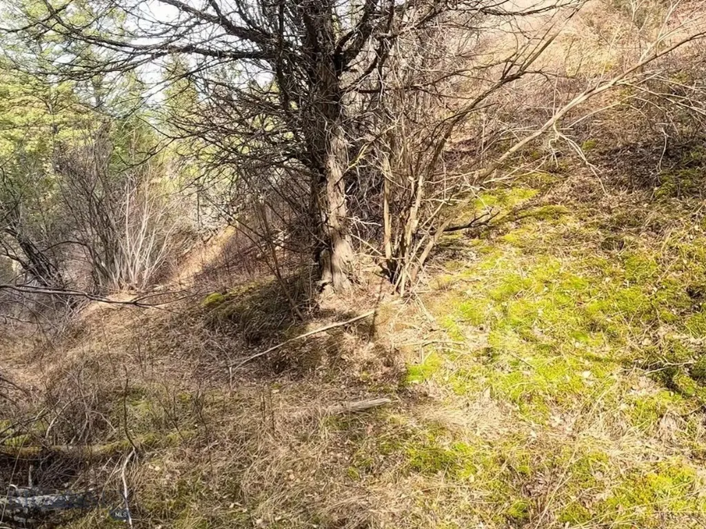 Nhn Pole Gulch Road Three Forks MT 59752