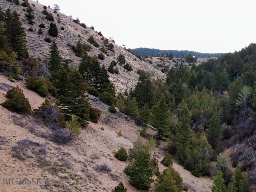 Nhn Pole Gulch Road Three Forks MT 59752