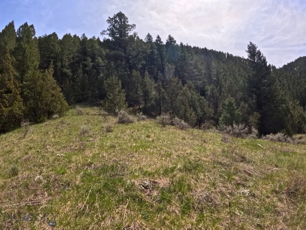 Nhn Pole Gulch Road Three Forks MT 59752