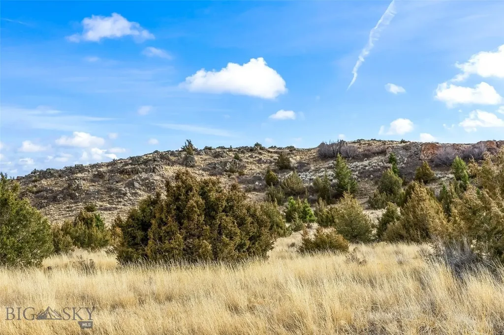 7 Cold Creek Loop Trail Ennis MT 59729