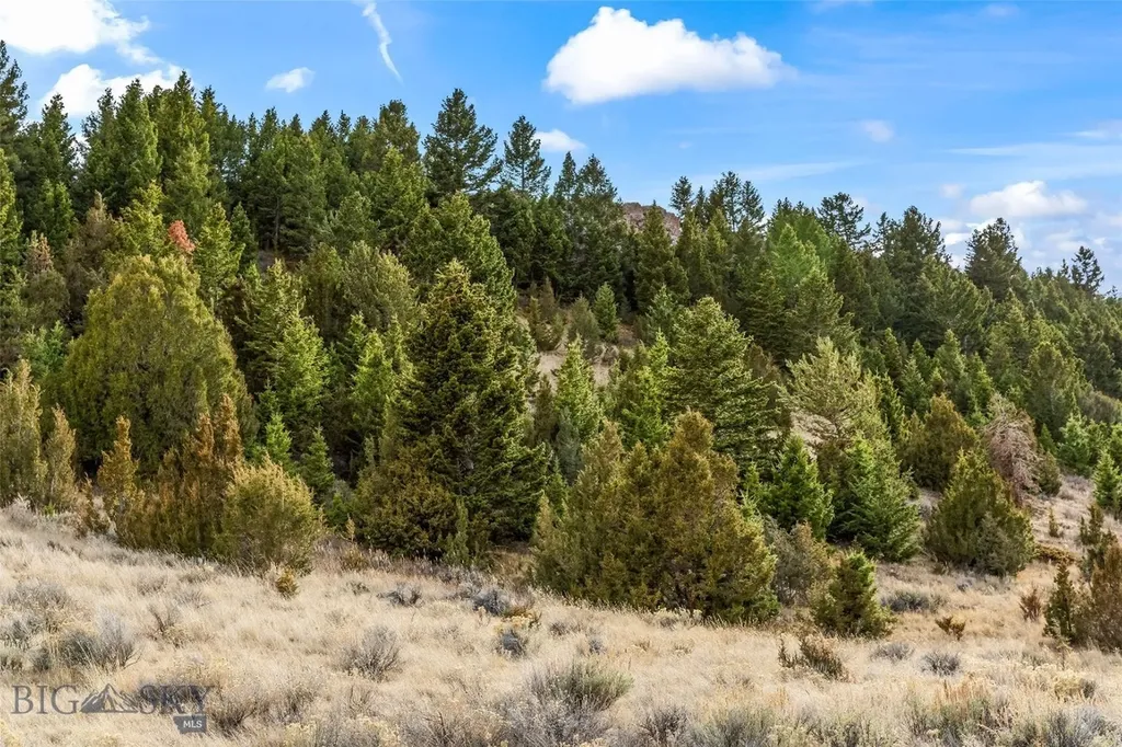 7 Cold Creek Loop Trail Ennis MT 59729